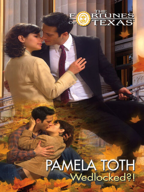 Cover image for book Wedlocked?!