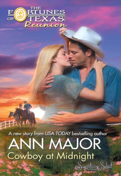 Cover image for book Cowboy at Midnight