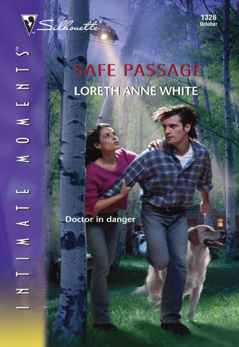Cover image for book Safe Passage