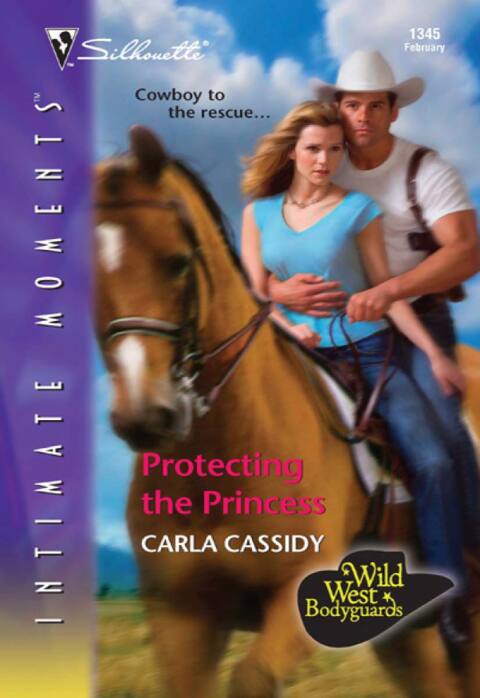 Cover image for book Protecting the Princess