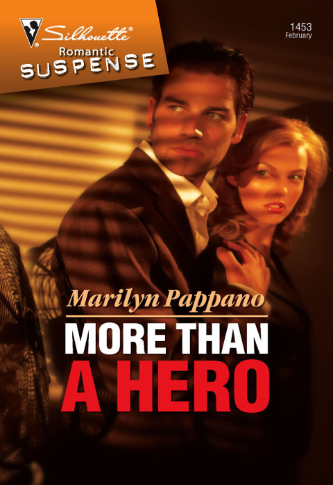 Cover image for book More Than a Hero