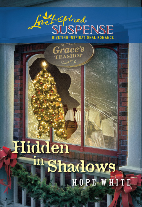 Cover image for book Hidden in Shadows
