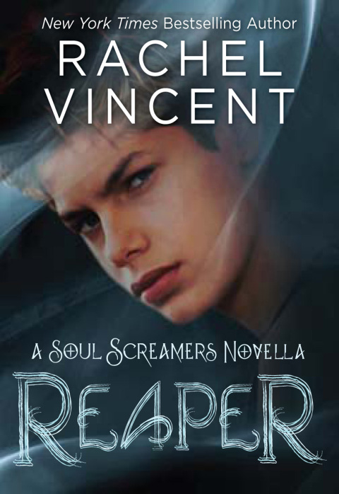 Cover image for book Reaper