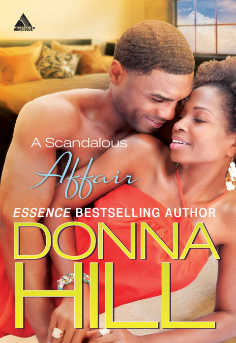 Cover image for book A Scandalous Affair