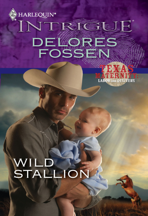 Cover image for book Wild Stallion