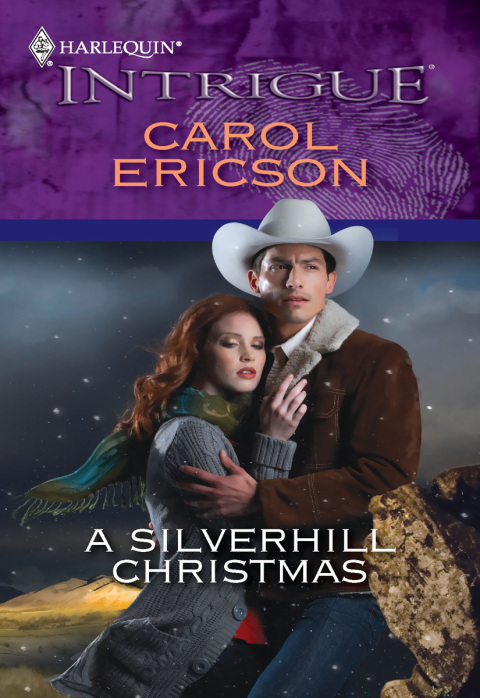 Cover image for book A Silverhill Christmas