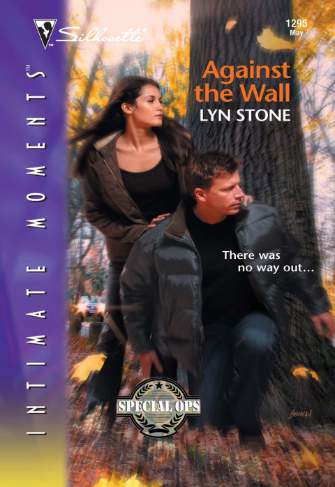 Cover image for book Against the Wall