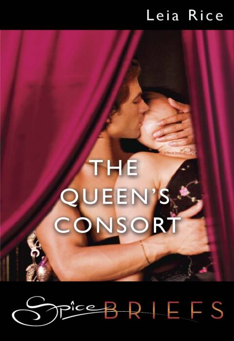Cover image for book The Queen's Consort