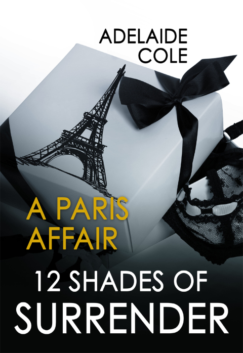 Cover image for book A Paris Affair