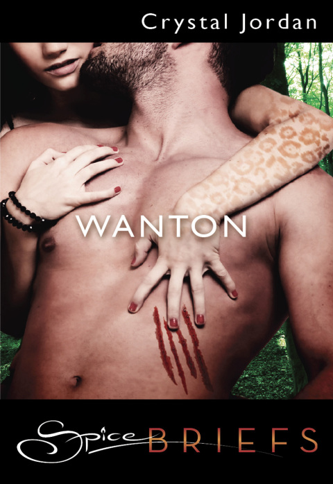 Cover image for book Wanton