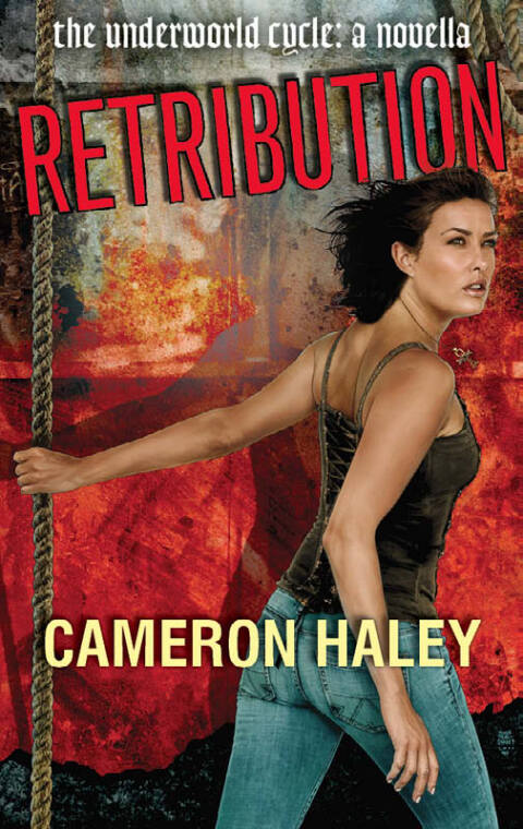 Cover image for book Retribution