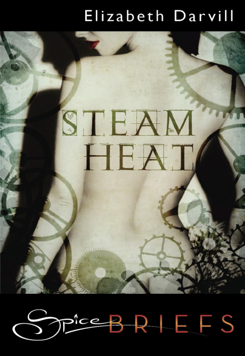 Cover image for book Steam Heat