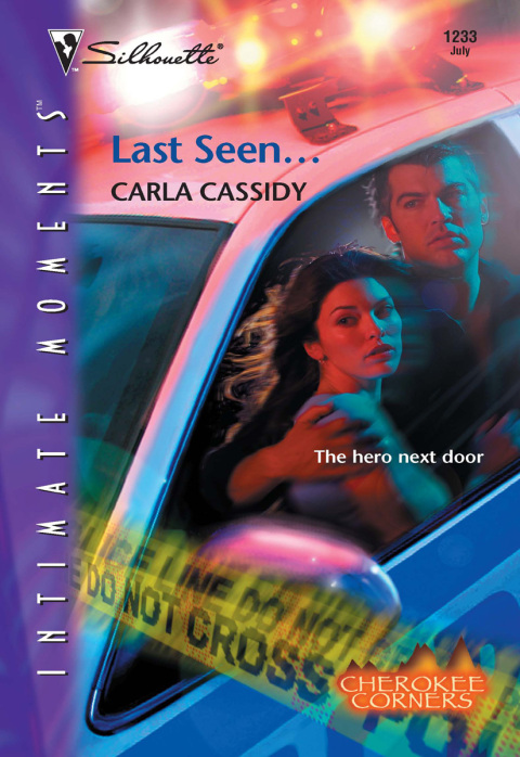Cover image for book Last Seen...