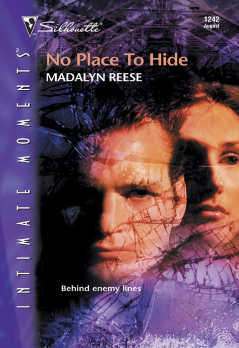 Cover image for book No Place to Hide