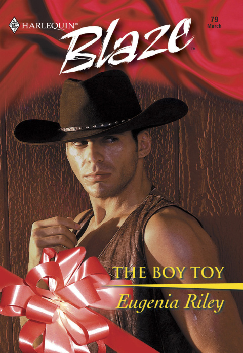 Cover image for book The Boy Toy