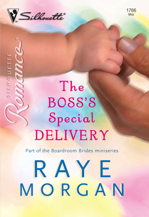 Cover image for book The Boss's Special Delivery