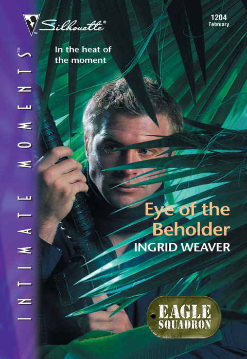 Cover image for book Eye of the Beholder