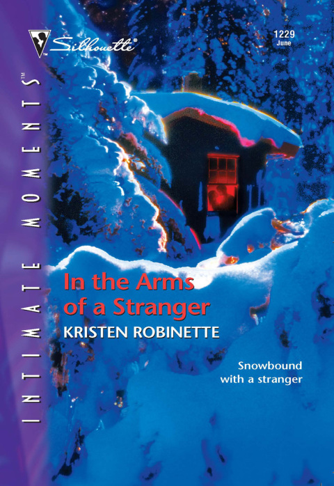 Cover image for book In the Arms of a Stranger