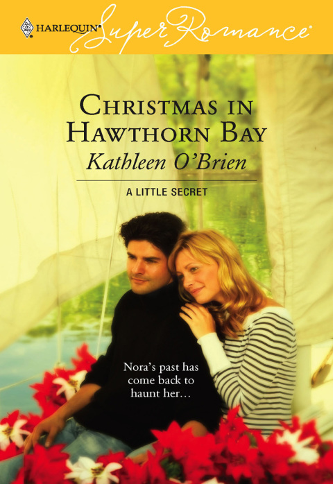 Cover image for book Christmas in Hawthorn Bay