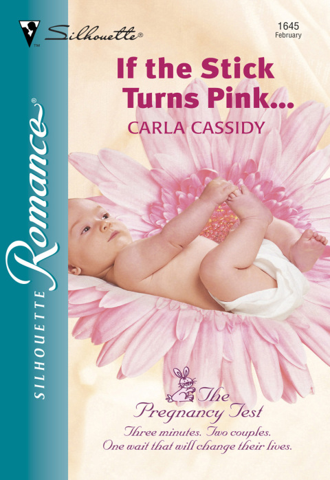 Cover image for book If the Stick Turns Pink...