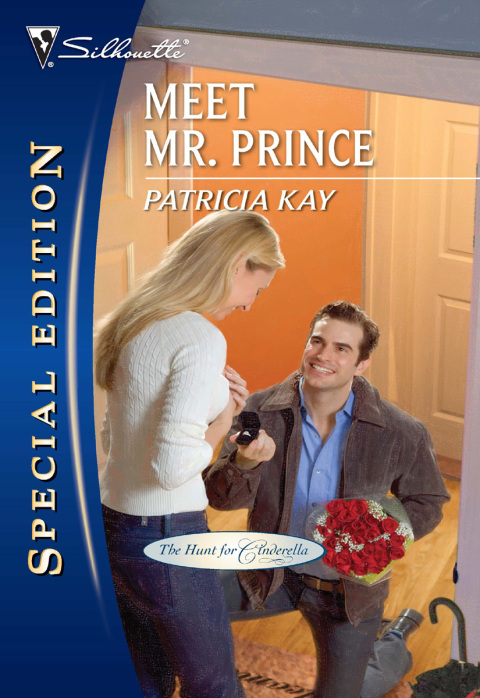 Cover image for book Meet Mr. Prince