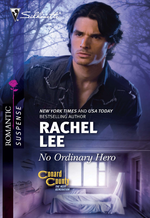 Cover image for book No Ordinary Hero