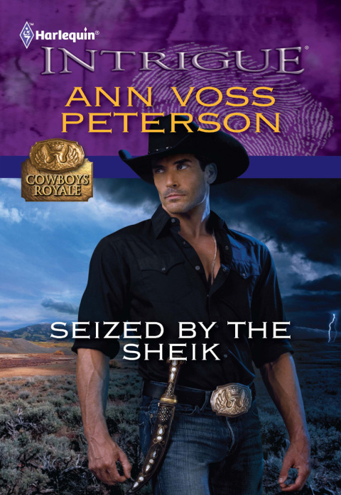 Cover image for book Seized by the Sheik