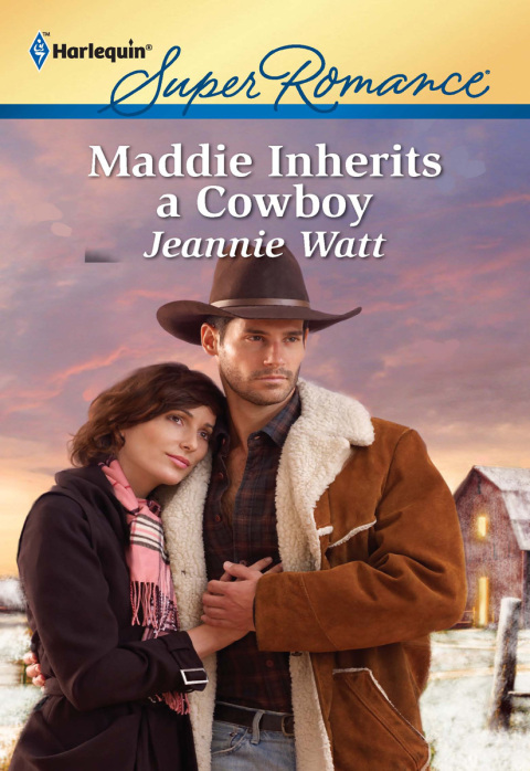 Cover image for book Maddie Inherits a Cowboy