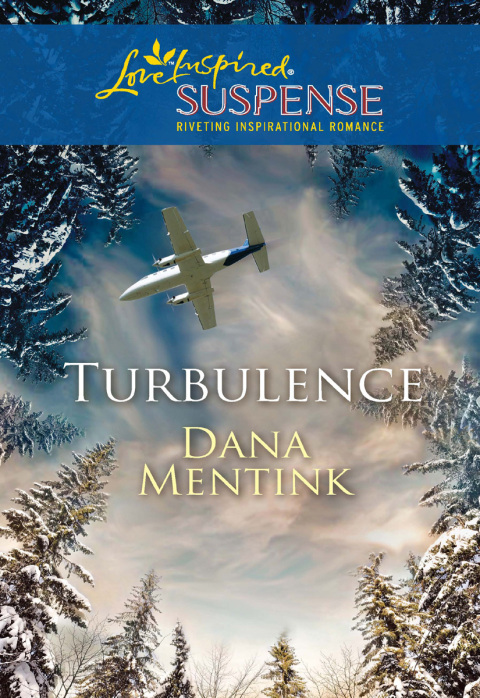Cover image for book Turbulence