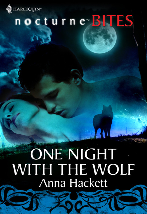 Cover image for book One Night with the Wolf