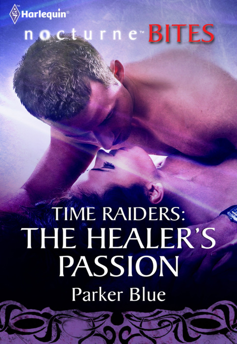 Cover image for book Time Raiders: The Healer's Passion
