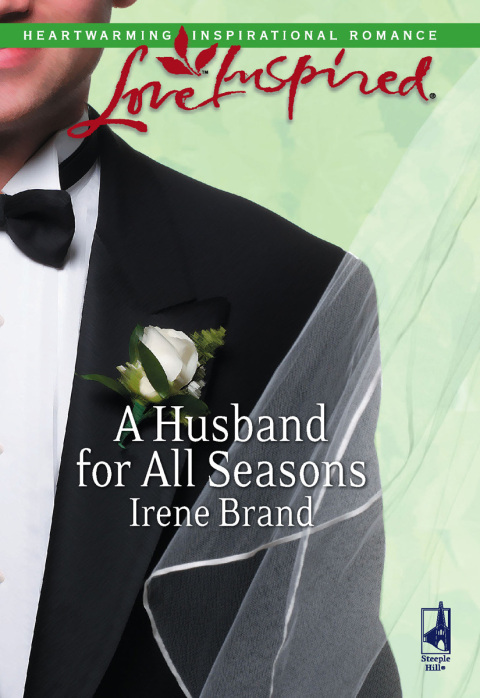 Cover image for book A Husband for All Seasons