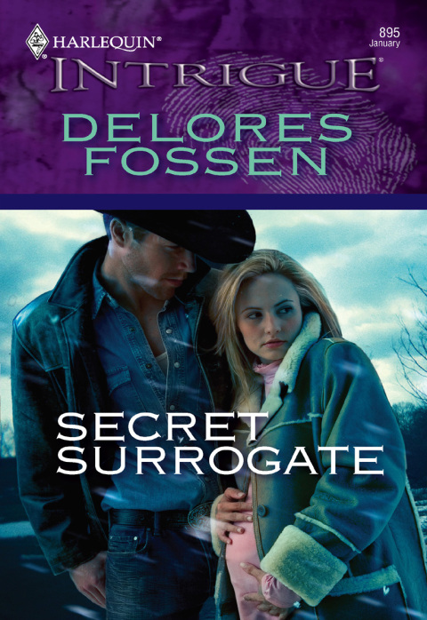 Secret Surrogate 