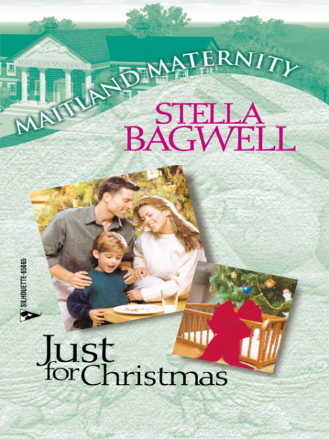 Cover image for book Just for Christmas