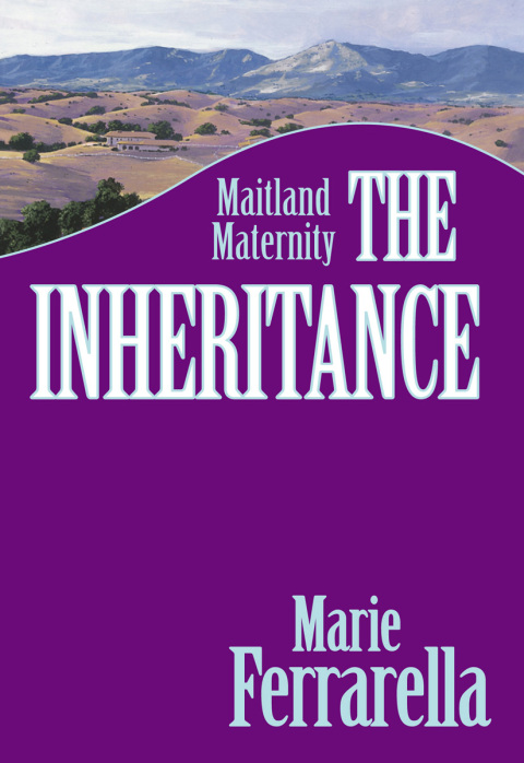 Cover image for book The Inheritance