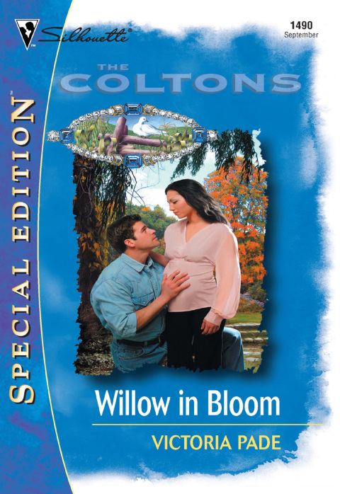 Cover image for book Willow In Bloom