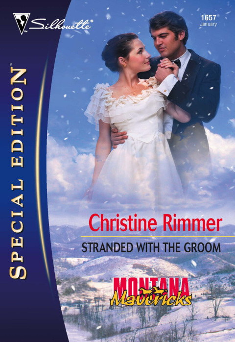 Cover image for book Stranded With the Groom
