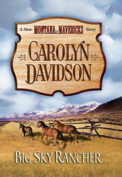 Cover image for book Big Sky Rancher