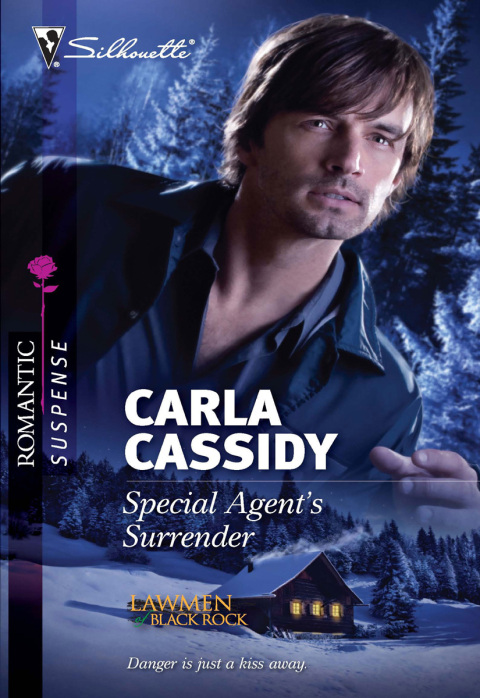 Cover image for book Special Agent's Surrender