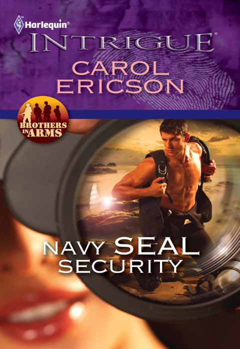 Cover image for book Navy SEAL Security
