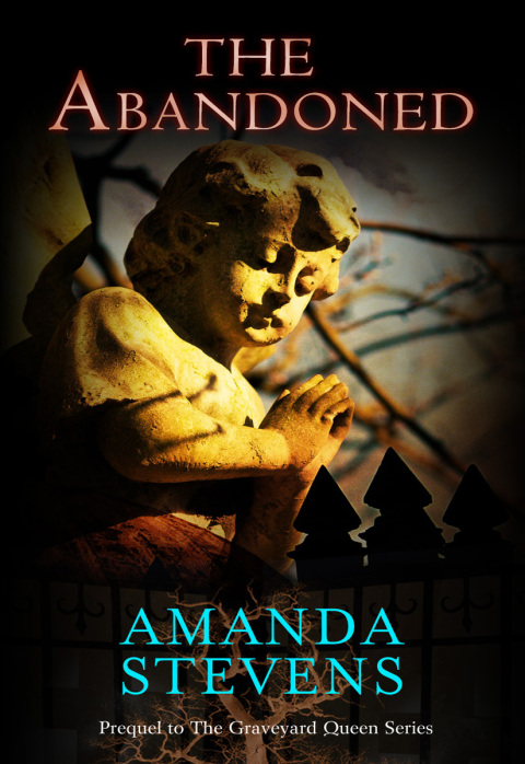 Cover image for book The Abandoned