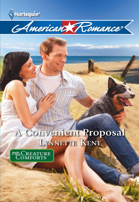 Cover image for book A Convenient Proposal