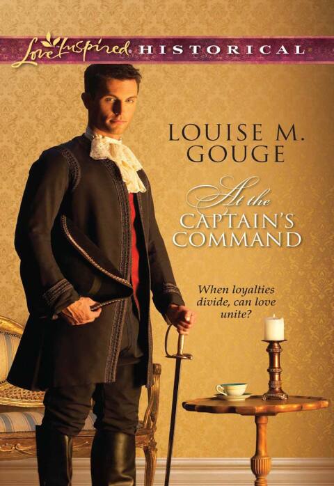Cover image for book At the Captain's Command