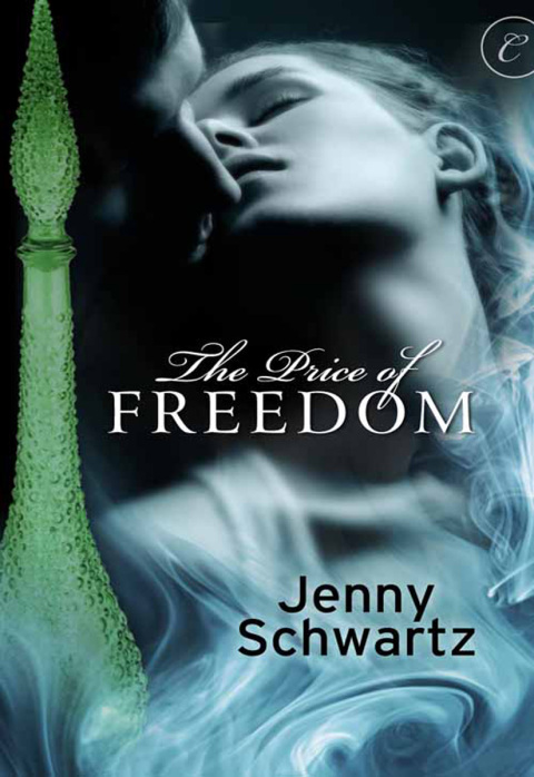Cover image for book The Price of Freedom