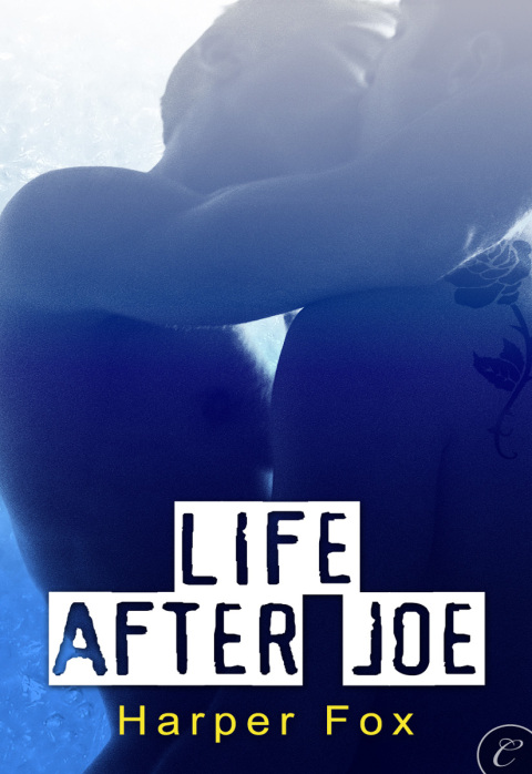 Cover image for book Life After Joe