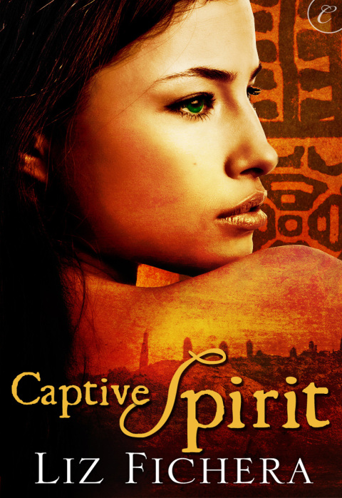 Cover image for book Captive Spirit