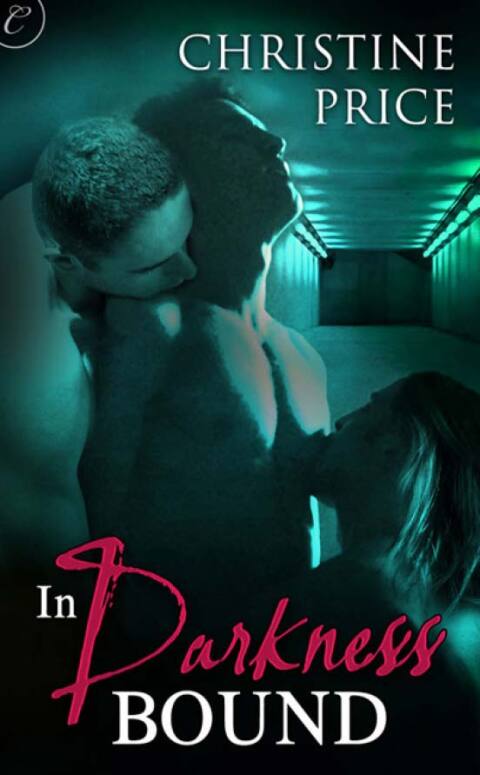 Cover image for book In Darkness Bound
