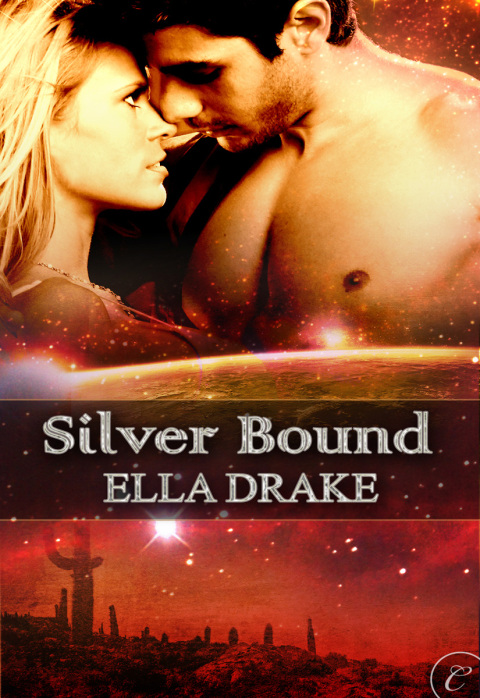 Cover image for book Silver Bound