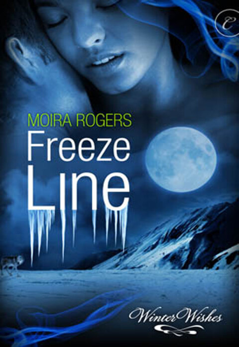 Cover image for book Freeze Line