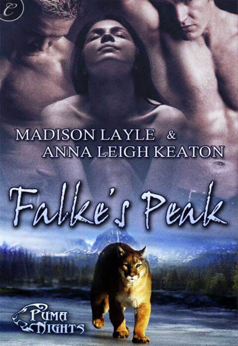 Cover image for book Falke's Peak